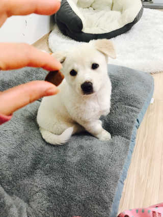 만듀모찌님이 올린 리뷰 사진 2