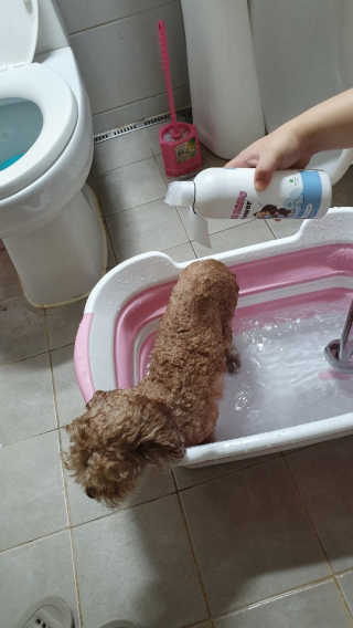 초코에몽님이 올린 리뷰 사진 2