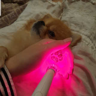 🌷 킴블리 🌷님이 올린 리뷰 사진 1
