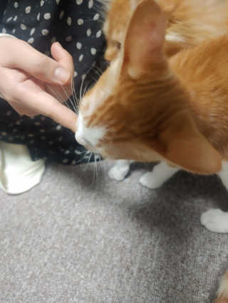 짱아미님이 올린 리뷰 사진 2