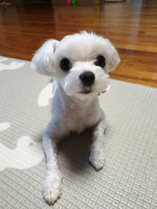 뉘신지님이 올린 리뷰 사진 3