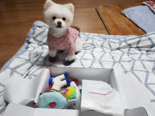 쑤니짱님이 올린 리뷰 사진 1