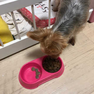 은블리님이 올린 리뷰 사진 3