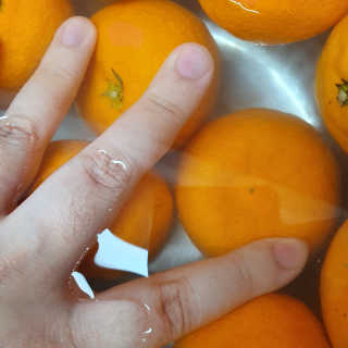 친환경 과일세정제 그린그램 칼슘파우더 1통 150g — 5점을 준 리뷰어가 2019년 11월 올린 사용 사진