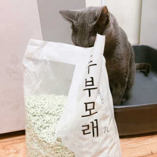 꽃길만걷자탄아님이 올린 리뷰 사진 1