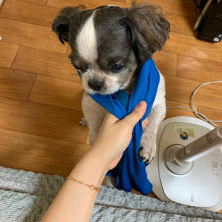 dnjs8274님이 올린 리뷰 사진 1