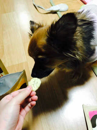 이이슬님이 올린 리뷰 사진 4