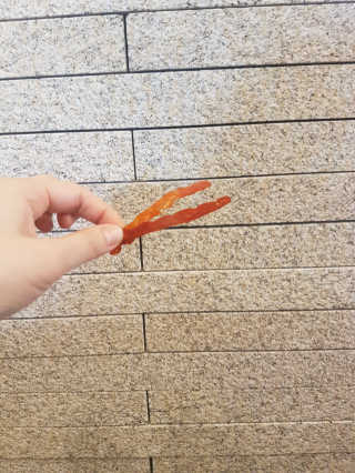 헐크갱크🌱님이 올린 리뷰 사진 3