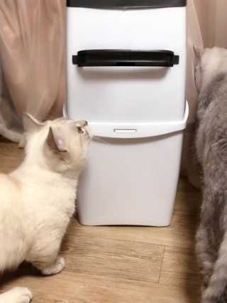 04mini04님이 올린 리뷰 사진 3