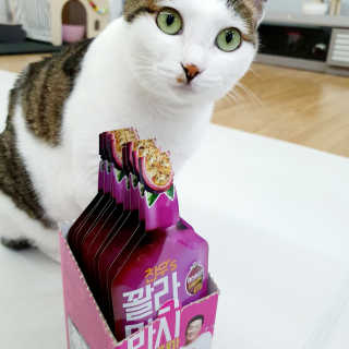 제니언니님이 올린 리뷰 사진 3