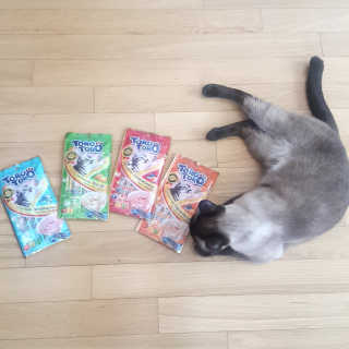 파랑새님이 올린 리뷰 사진 1