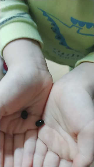 SojungLee님이 올린 리뷰 사진 2