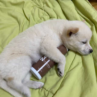 깡자맘님이 올린 리뷰 사진 2