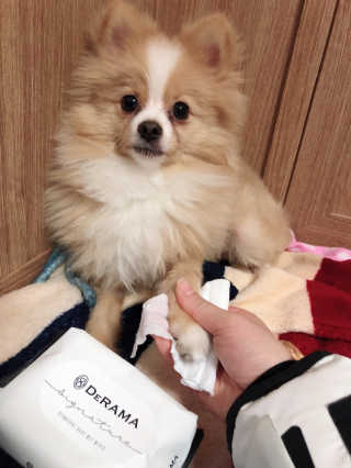 영블리님이 올린 리뷰 사진 2