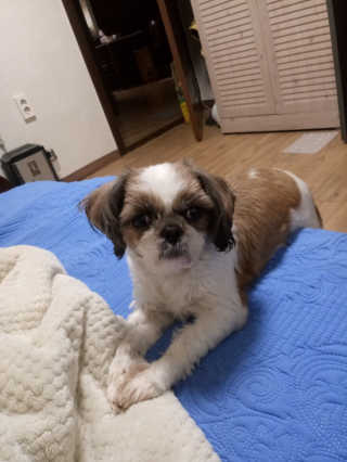 응디니님이 올린 리뷰 사진 4