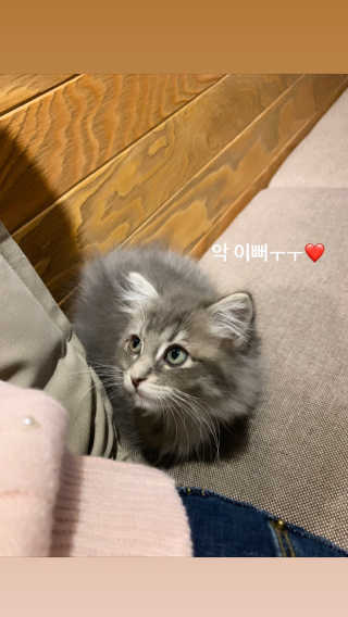 깊은산속옹달샘님이 올린 리뷰 사진 3