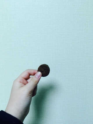 인테이크 맛있는 다이어트 쿠키 카카오 — 4.5점을 준 리뷰어가 2017년 11월 올린 사용 사진