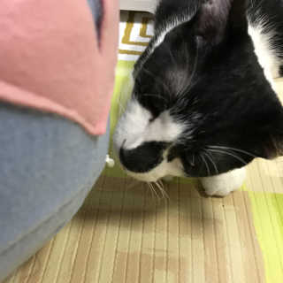 요이알라뷰님이 올린 리뷰 사진 4