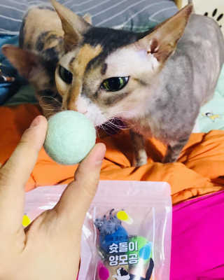 이아님이 올린 리뷰 사진 3