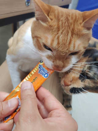 오나오나님이 올린 리뷰 사진 4