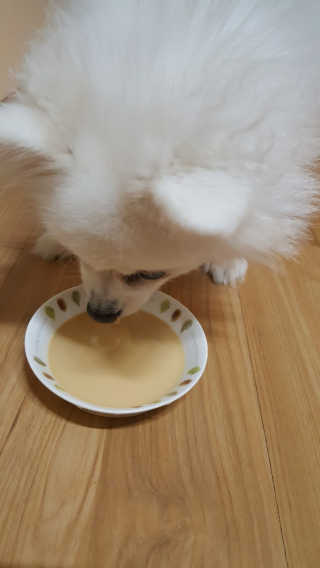 하늬몽님이 올린 리뷰 사진 2
