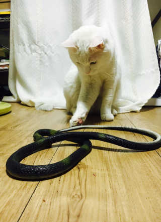 noname님이 올린 리뷰 사진 2