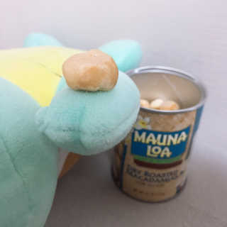스폰지님이 올린 리뷰 사진 1