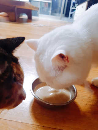 핸쑤님이 올린 리뷰 사진 4