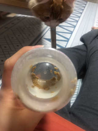 KyungmiShin님이 올린 리뷰 사진 4