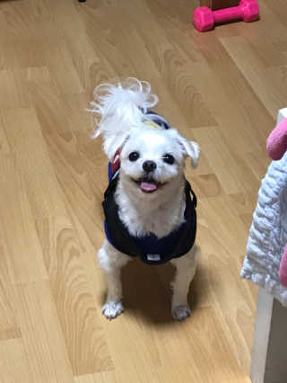 🦄행운의여신유니콩🦄님이 올린 리뷰 사진 3