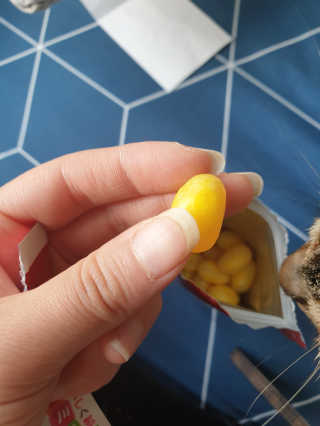 이째님이 올린 리뷰 사진 3