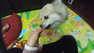 xoxo님이 올린 리뷰 사진 3