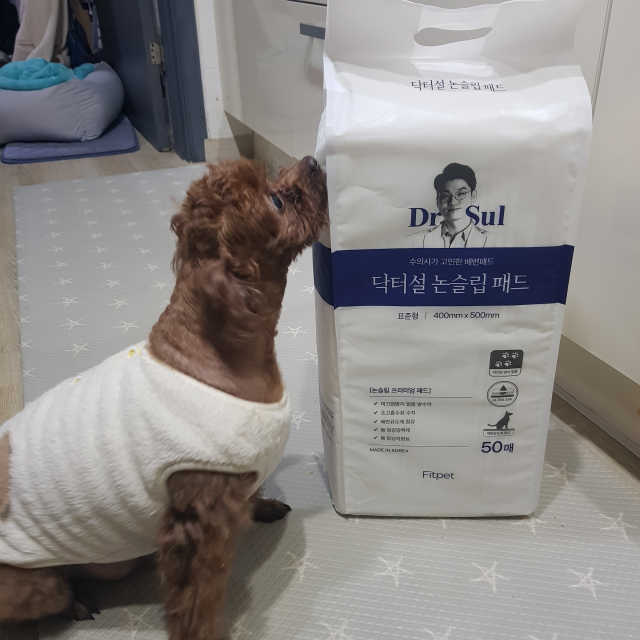 닥터설 논슬립 패드 리뷰 사진