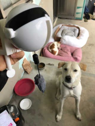 한나단미님이 올린 리뷰 사진 4