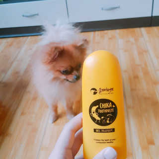 유한솔님이 올린 리뷰 사진 3