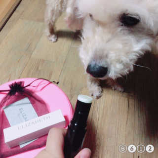 k님이 올린 리뷰 사진 2