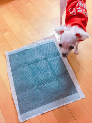 쮸동비님이 올린 리뷰 사진 2