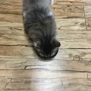 김지은님이 올린 리뷰 사진 4