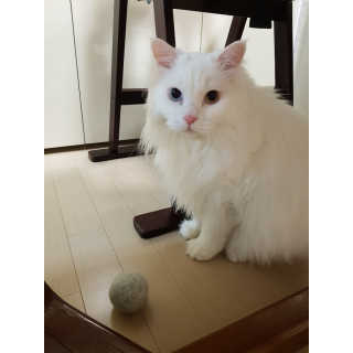 으하하하하님이 올린 리뷰 사진 3