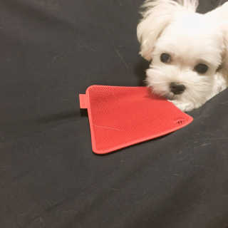 짓우님이 올린 리뷰 사진 1