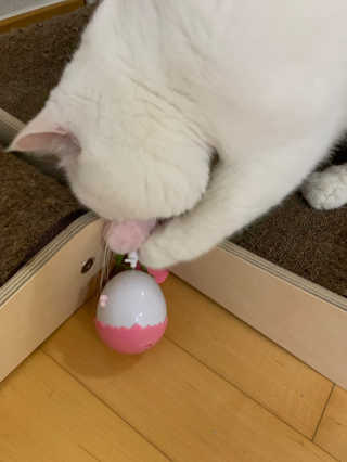 서연님이 올린 리뷰 사진 4