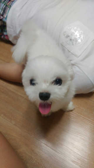 MinSeoJo님이 올린 리뷰 사진 2