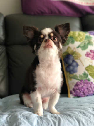 띠띠님이 올린 리뷰 사진 3