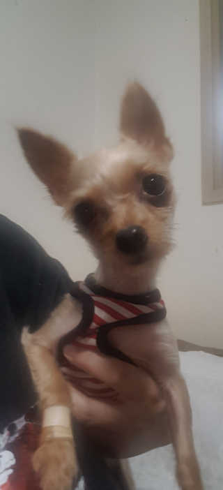 렌냥님이 올린 리뷰 사진 3