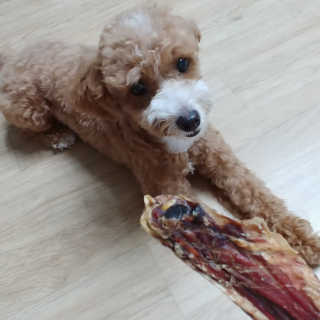 밍님이 올린 리뷰 사진 3