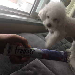 저칼로리 스무디바, 프루져 Froozer 2박스 — 3점을 준 리뷰어가 2019년 5월 올린 사용 사진