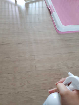 그린그램 베이비 뿌리는 살균 소독제 살균소독수 — 5점을 준 리뷰어가 2020년 3월 올린 사용 사진