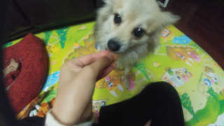 xoxo님이 올린 리뷰 사진 2