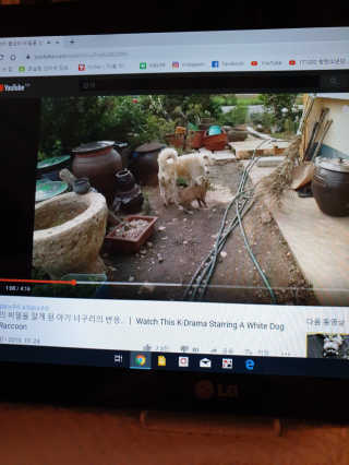 나비니님이 올린 리뷰 사진 3