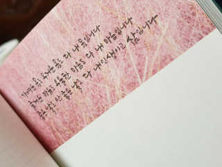 naandu12님이 올린 리뷰 사진 3